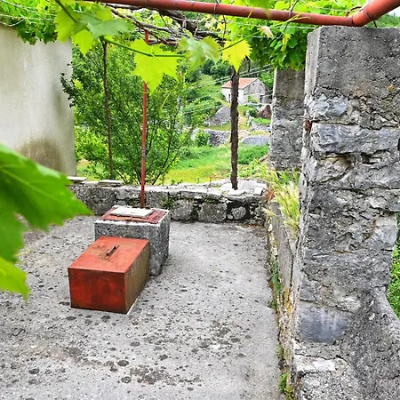 Gazdinstvo Vukanovic - Kuca Za Odmor Villa *